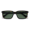 HAVANA / 55-17-145 / GREEN POLARIZED