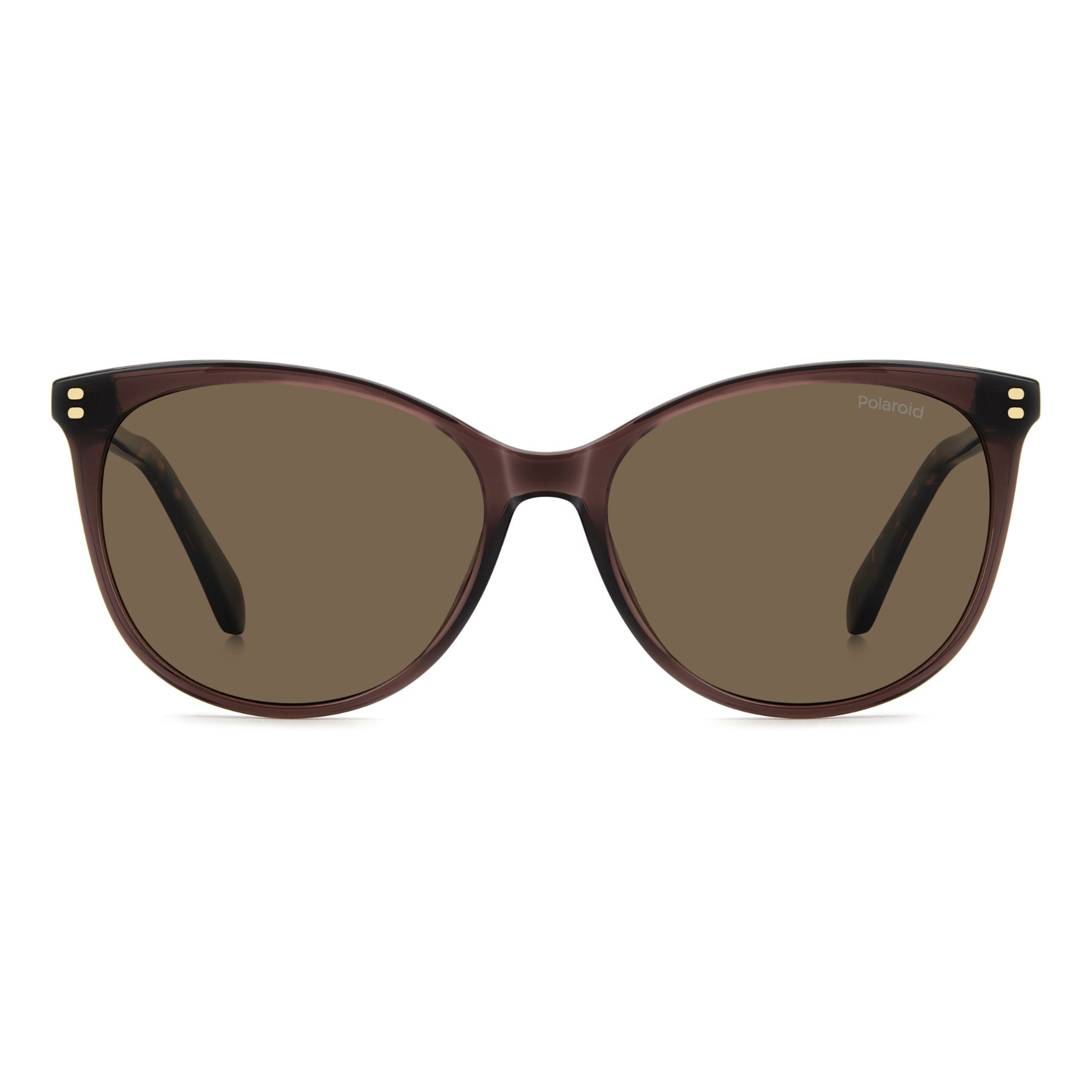 #color_BROWN
