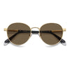 MATTE GOLD / 53-18-145 / BRONZE POLARIZED