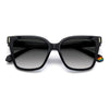 BLACK / 54-16-145 / GREY SHADED POLARIZED