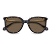 HAVANA / 51-21-145 / BRONZE POLARIZED