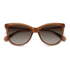 OCHRE / 55-17-145 / BROWN SHADED POLARIZED