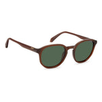 #color_BROWN1