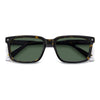 HAVANA / 55-17-145 / GREEN POLARIZED