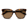 HAVANA / 55-17-145 / BRONZE POLARIZED