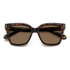 HAVANA / 54-16-145 / BRONZE POLARIZED
